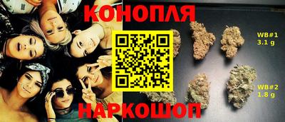гидра Тверь