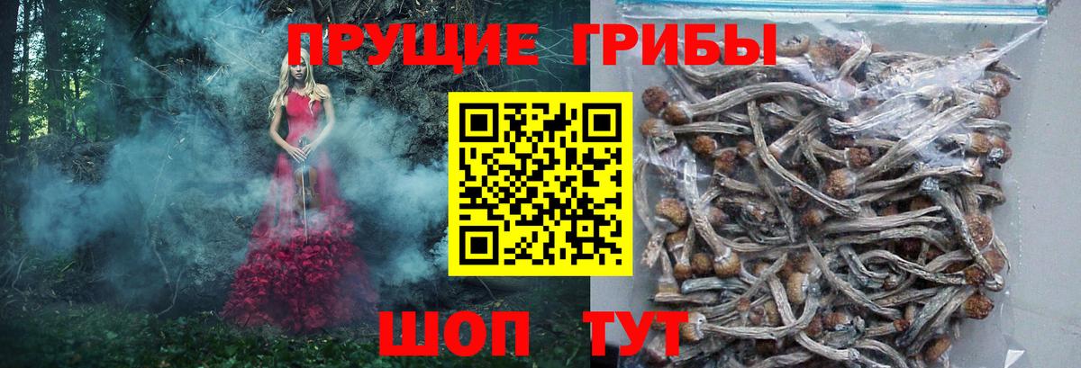 Псилоцибиновые грибы Cubensis  Вход с VPN  Псилоцибиновые грибы MAGIC MUSHROOMS  Урус-Мартан 